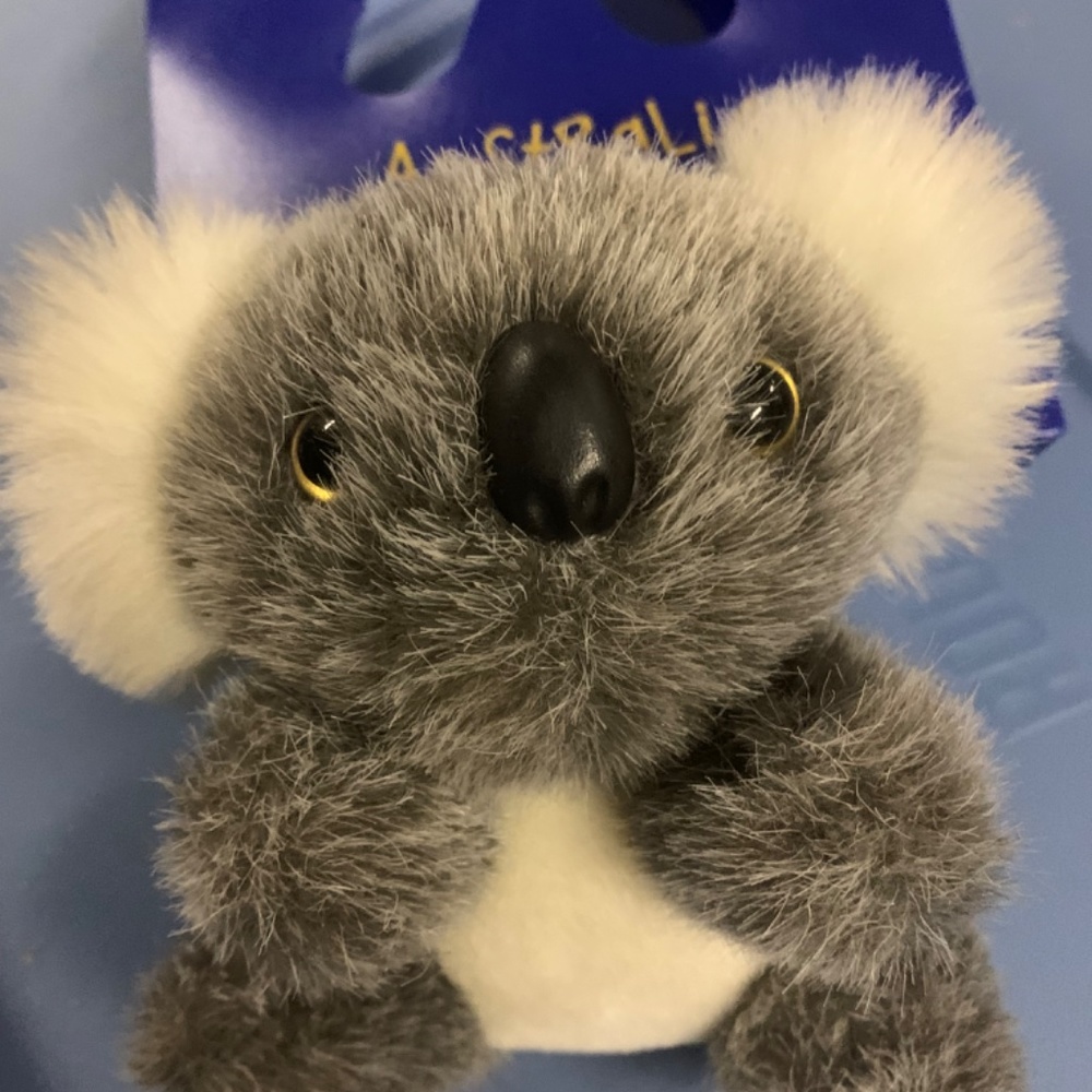 Australian | Koala - Picture 3 of 5